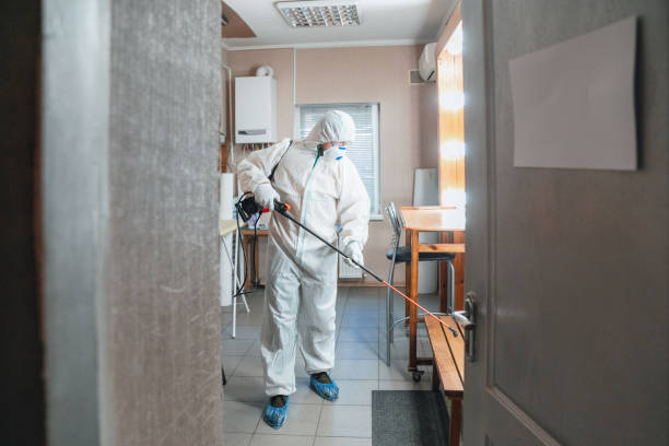 Best Basement Mold Removal  in Kennewick, WA